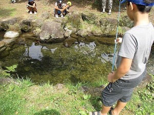 2015マス釣り３