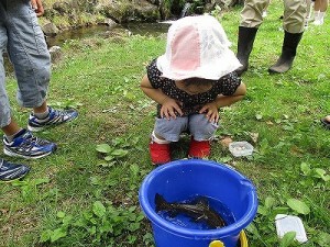 2015マス釣り６