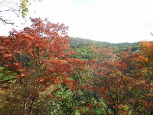 2015.10.06(3)