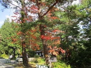 2015.10.06(6)