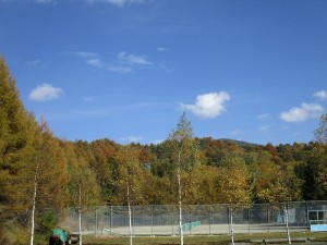 2015.10.15(13)