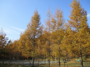 2015.10.20(3)