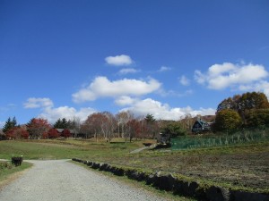 2015.10.29(2)