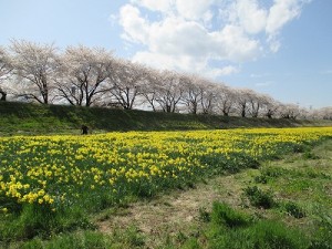 IMG_0643