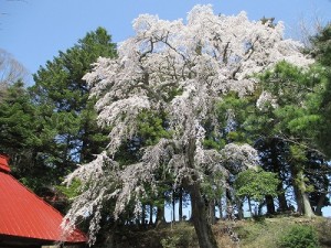 IMG_0647