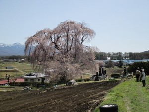 IMG_0650