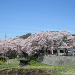 IMG_0664