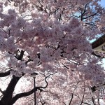 itogaya_1
