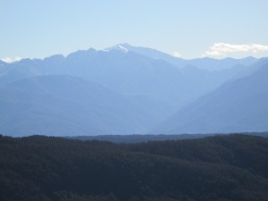 IMG_0745