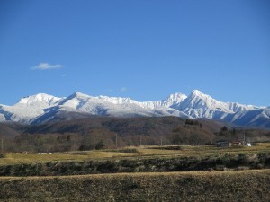 IMG_0749