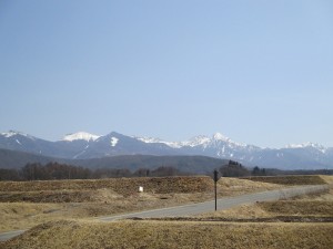 IMG_0787