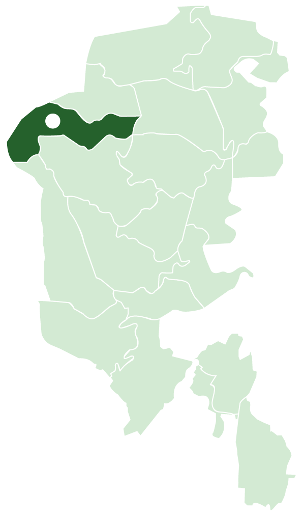 桜見山マップ