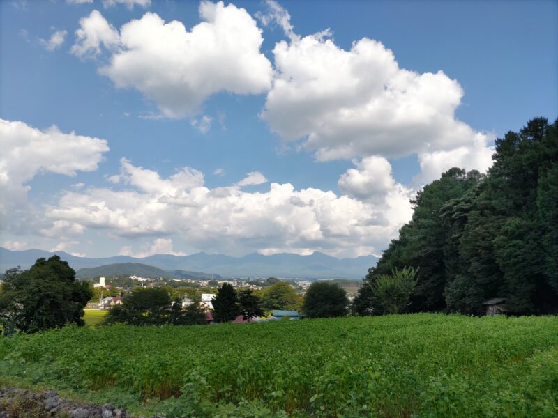 鎌倉道を歩いてみた