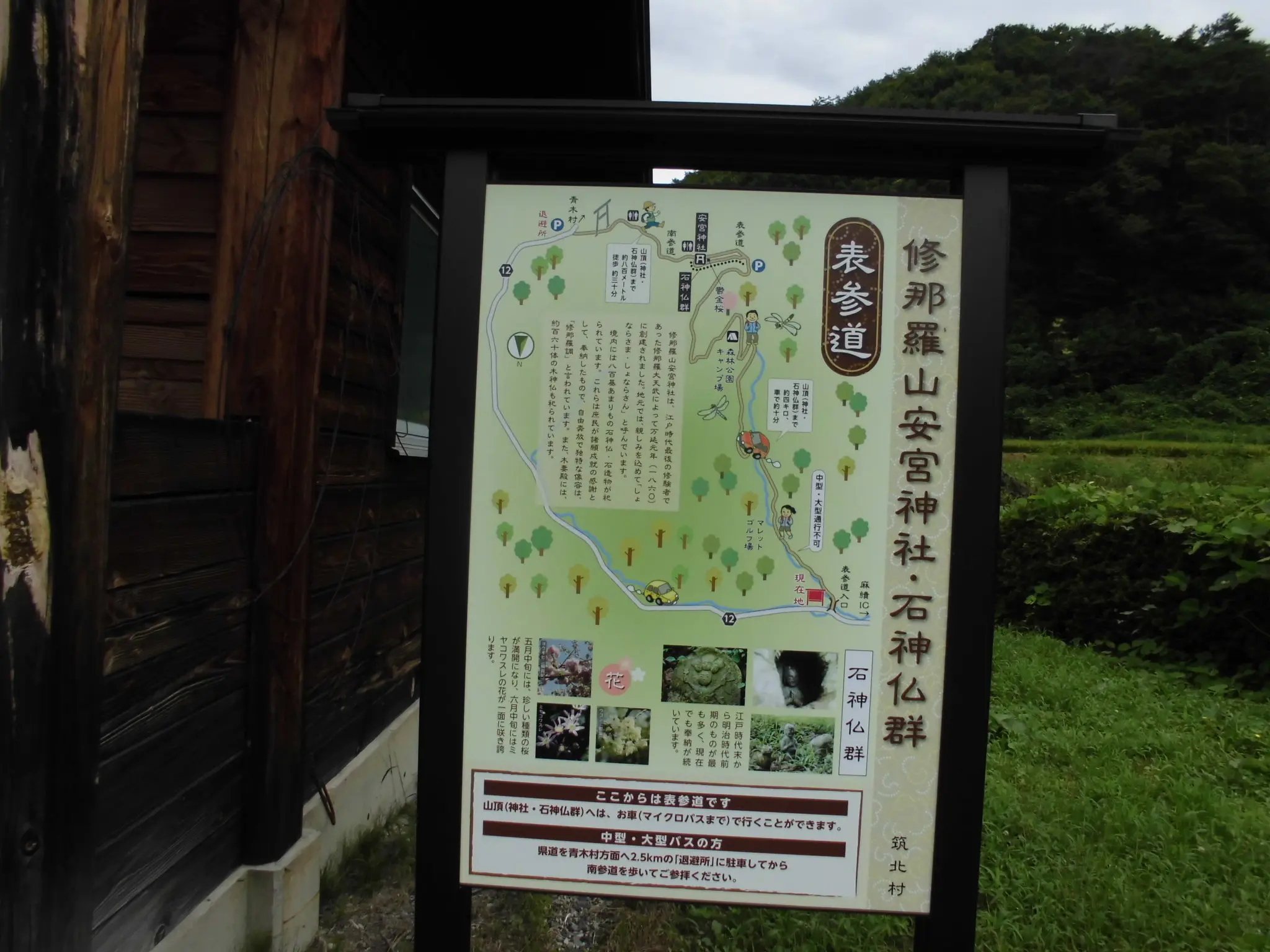 010.jpg.webp